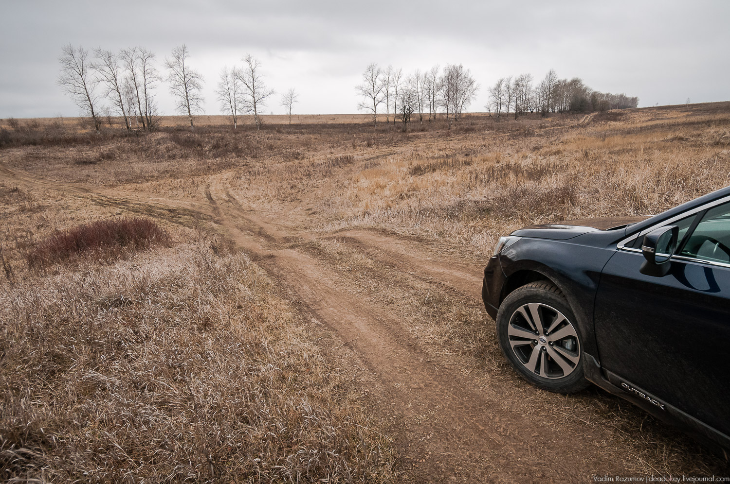 Старое Глазово, Тульская область, каширский уезд, могила архитектора В.И. Баженова