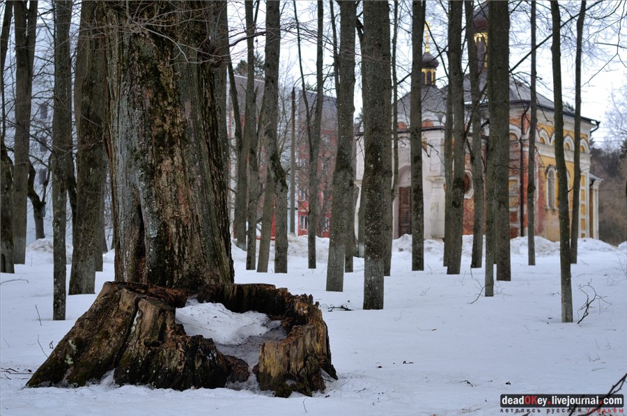 усадьба Воробьево