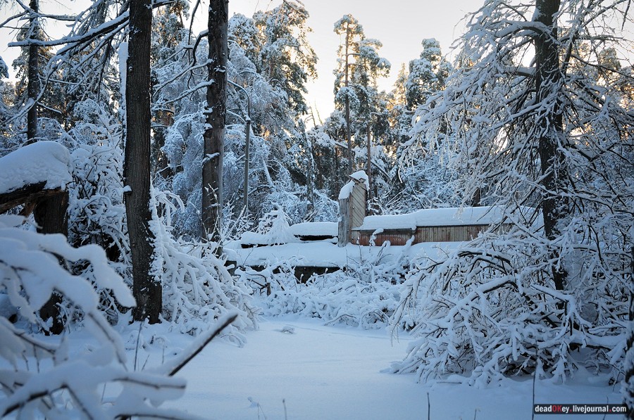 усадьба Полушкино
