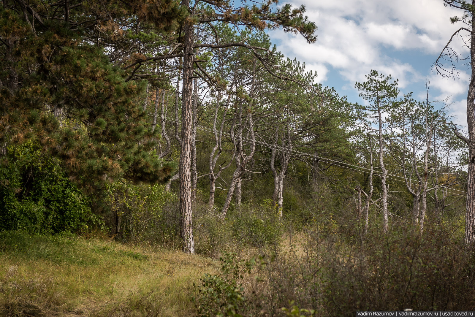 усадьба Кесслеров-Ферсмана, Крым, Симферополь