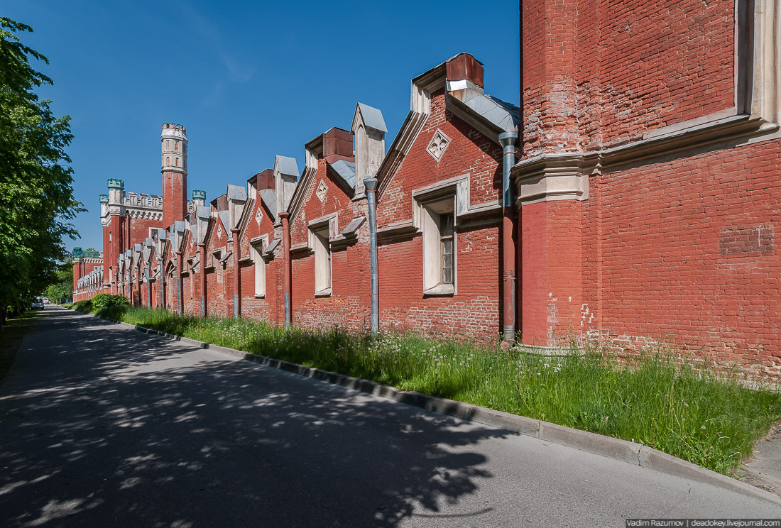 Петергофские конюшни