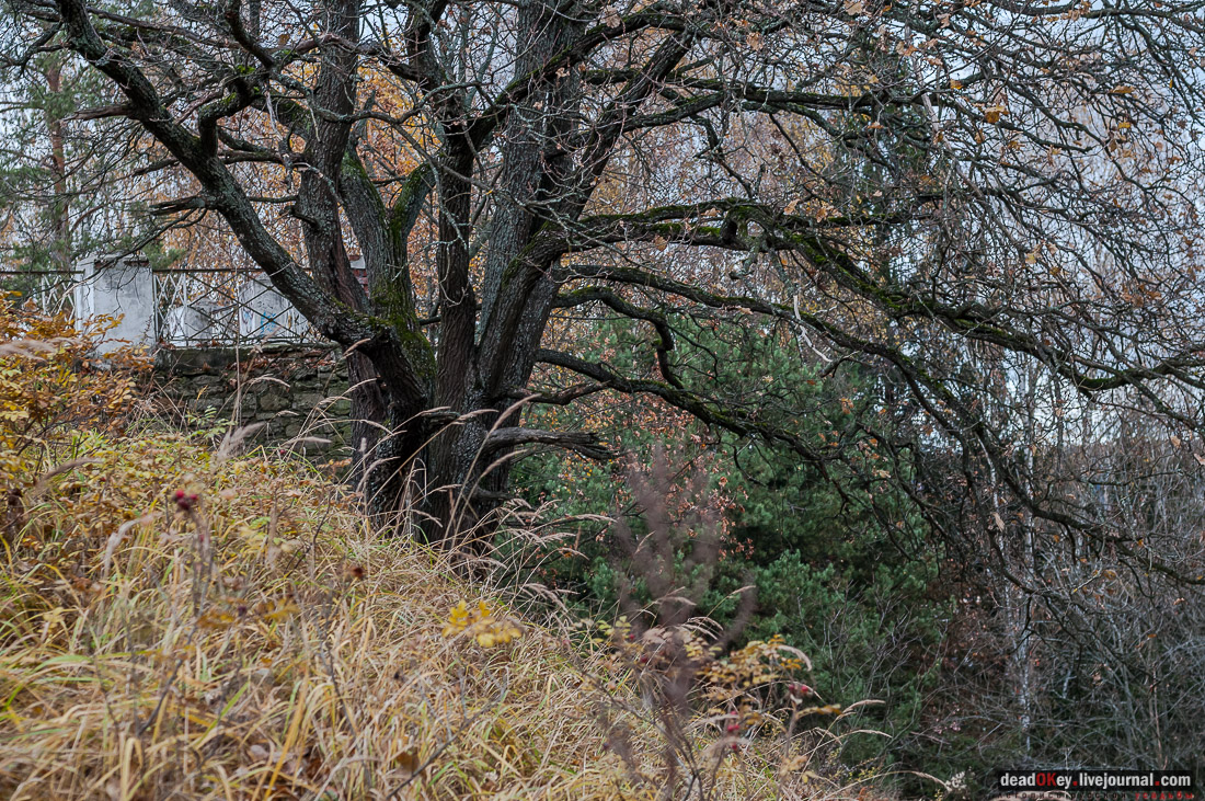 Усадьба Любвино