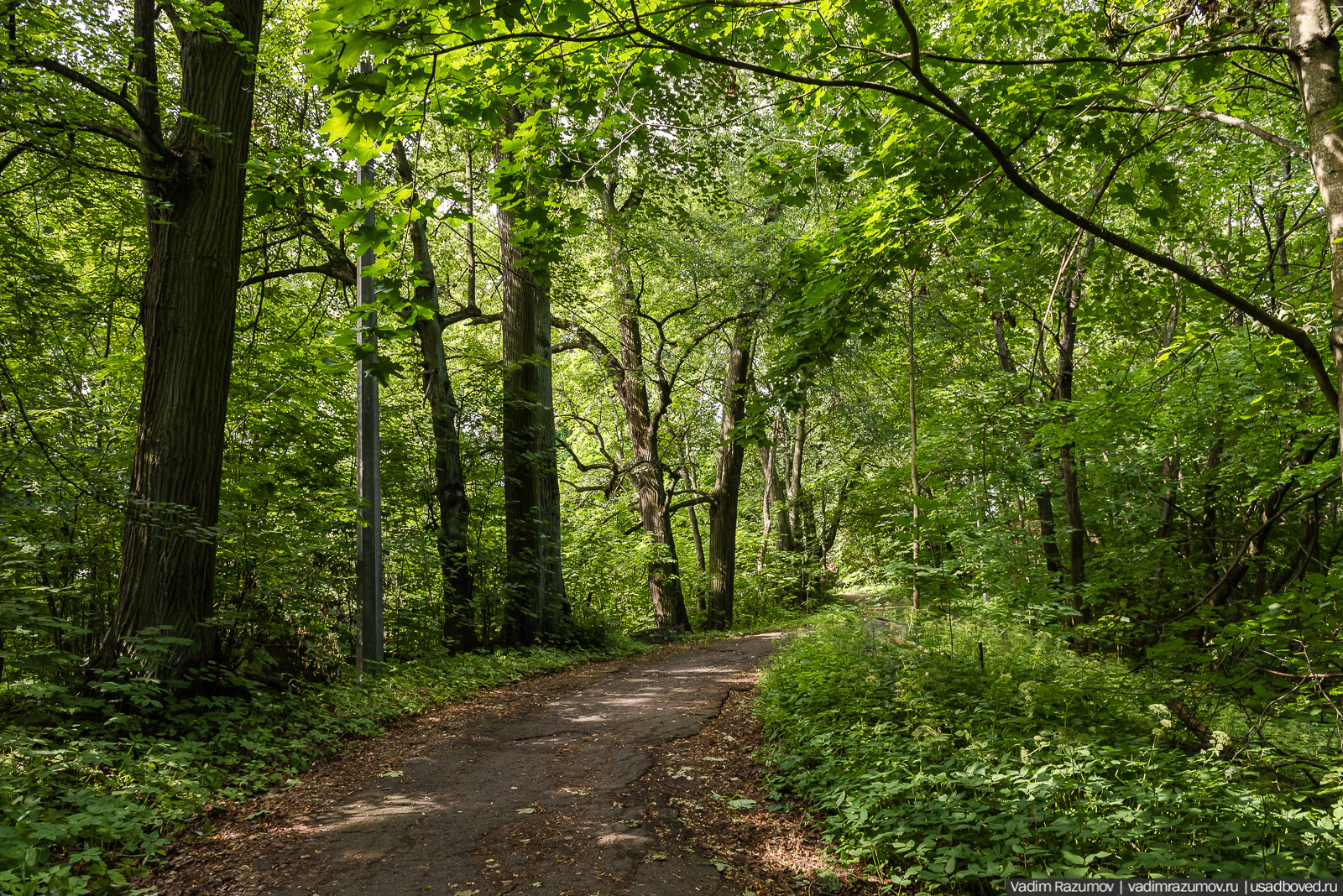 Усадьба Знаменка, Петергофская дорога