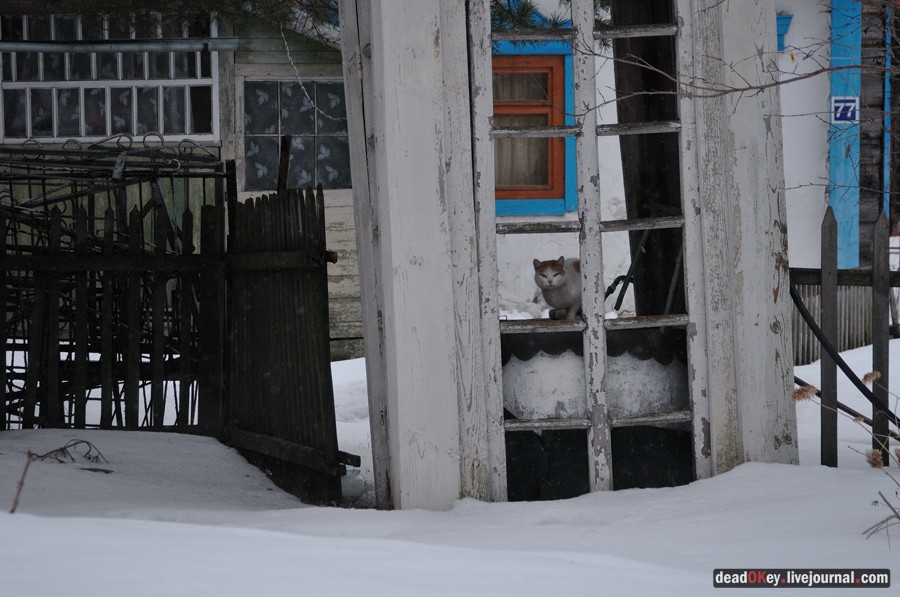 усадьба Авдотьино