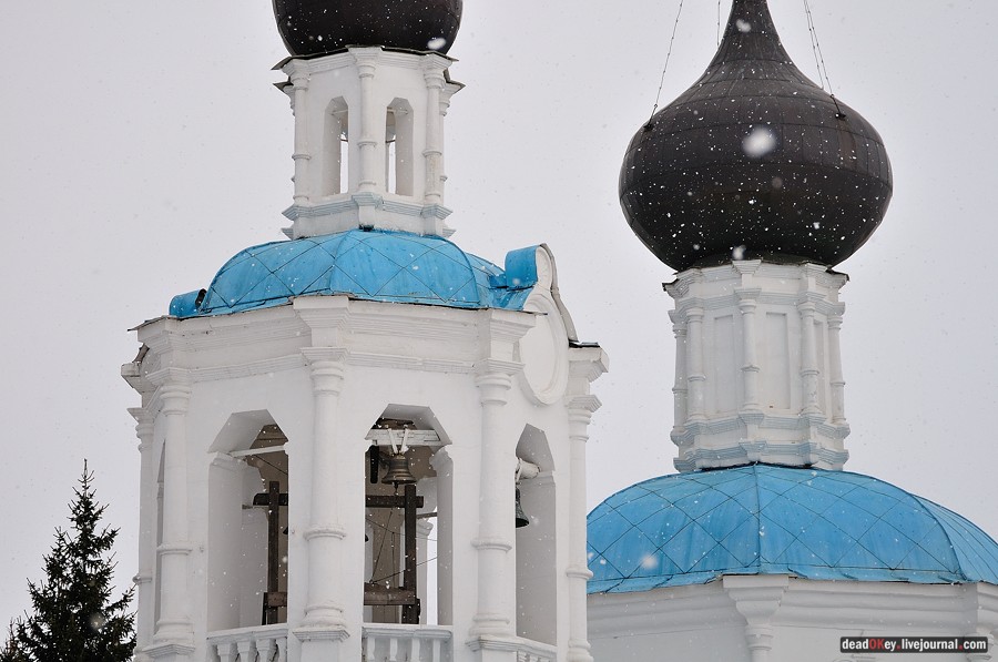 усадьба Кривцы