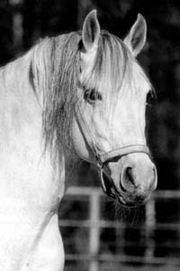 усадьба Остров