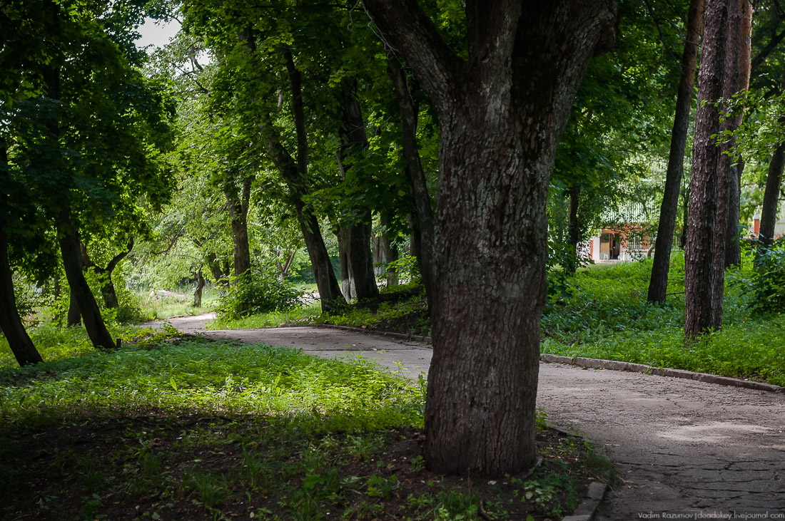 усадьба Стегаловка Ведровых