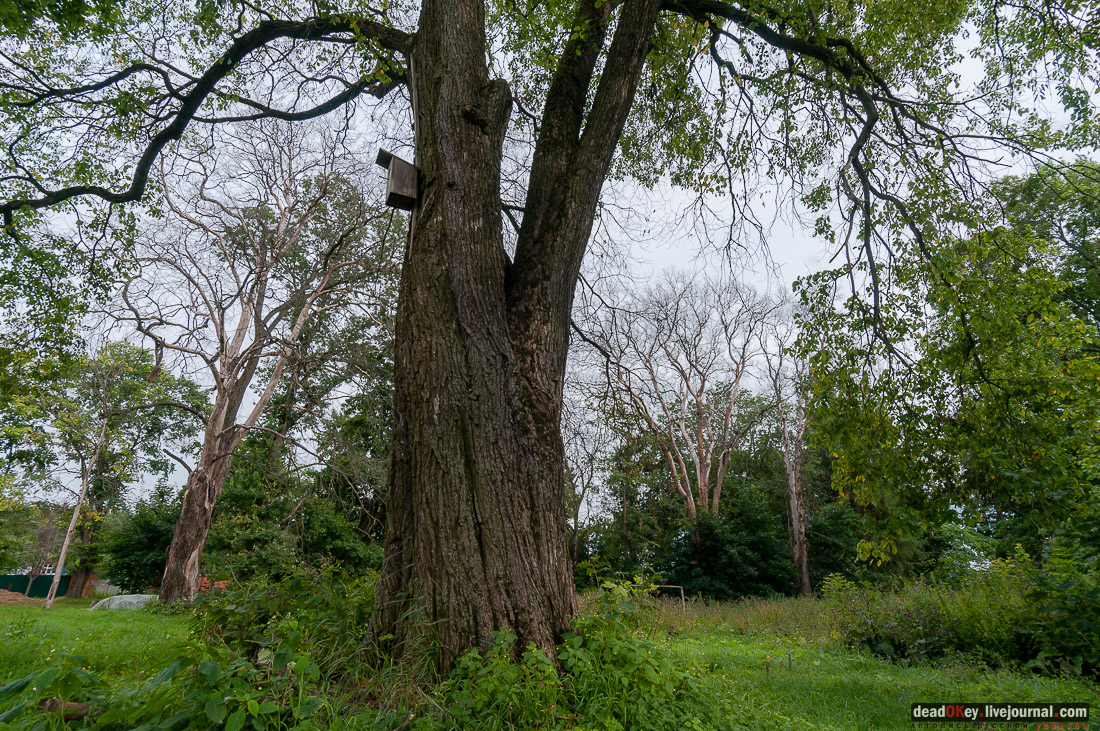 Фотовыставка. Усадьбы Филатово, Брыково, Глебово-Брусилово
