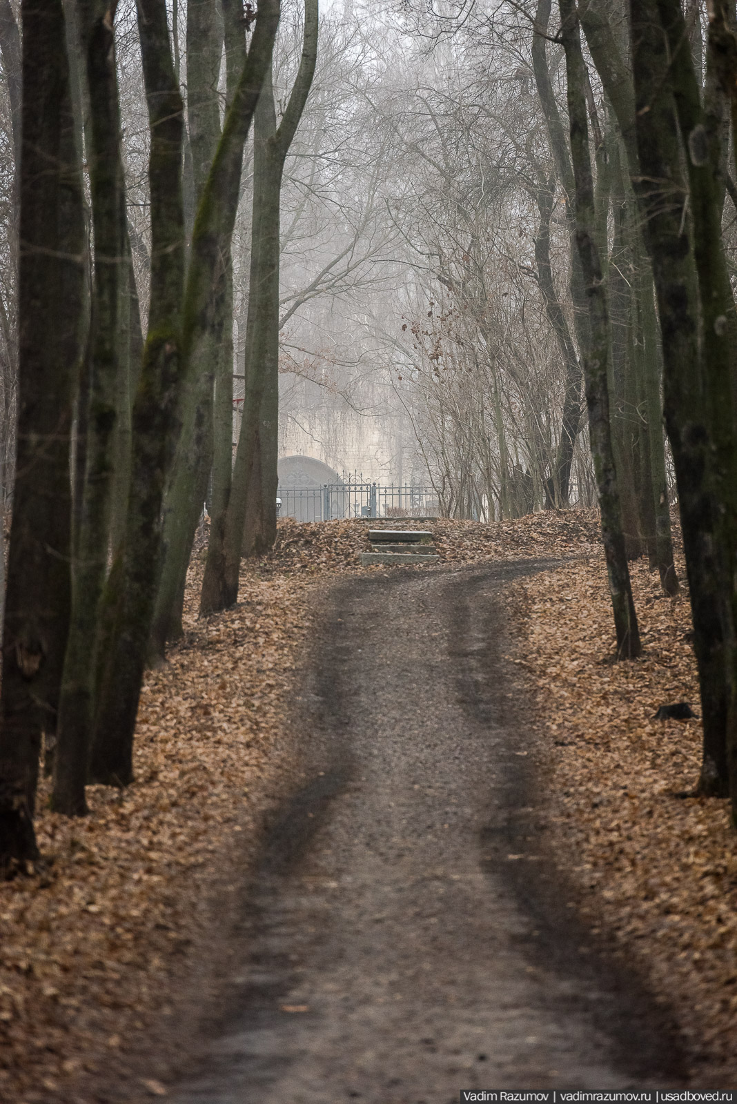 усадьба Борки, Липецкая область