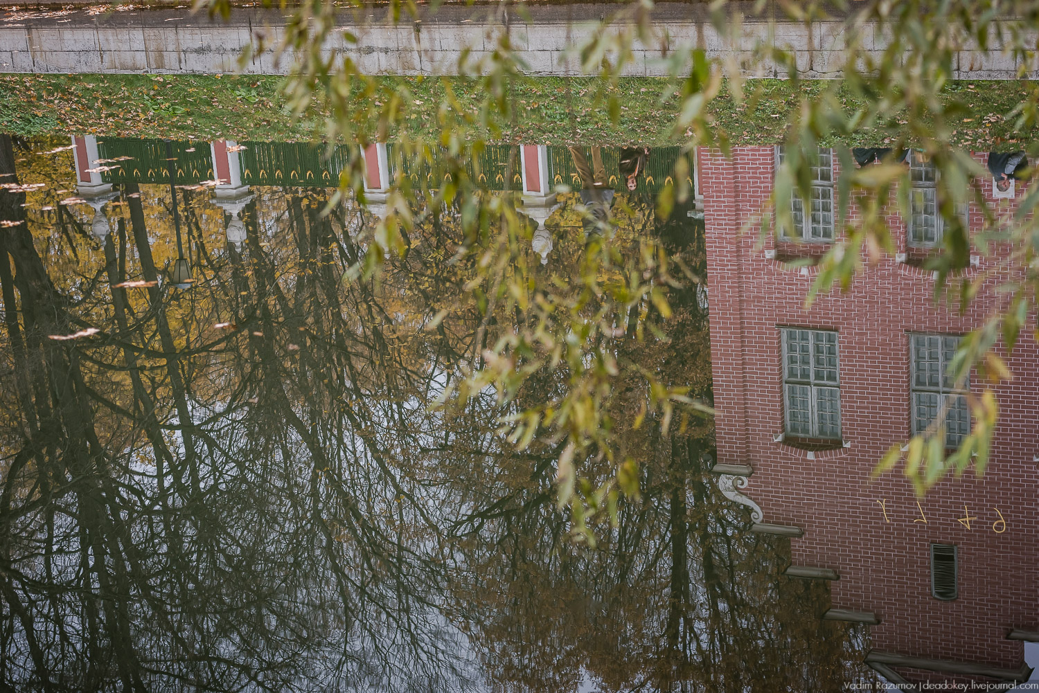 усадьба Кусково, осень 2018 года