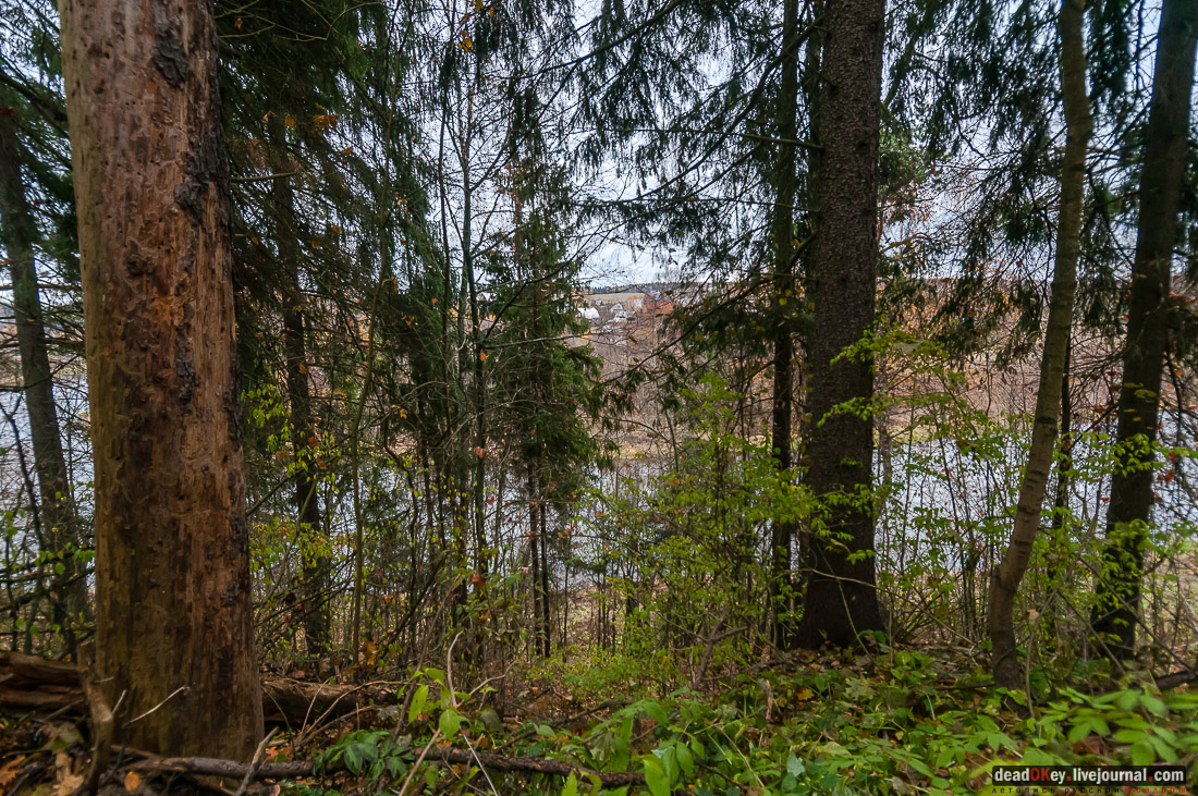 Усадьба Любвино