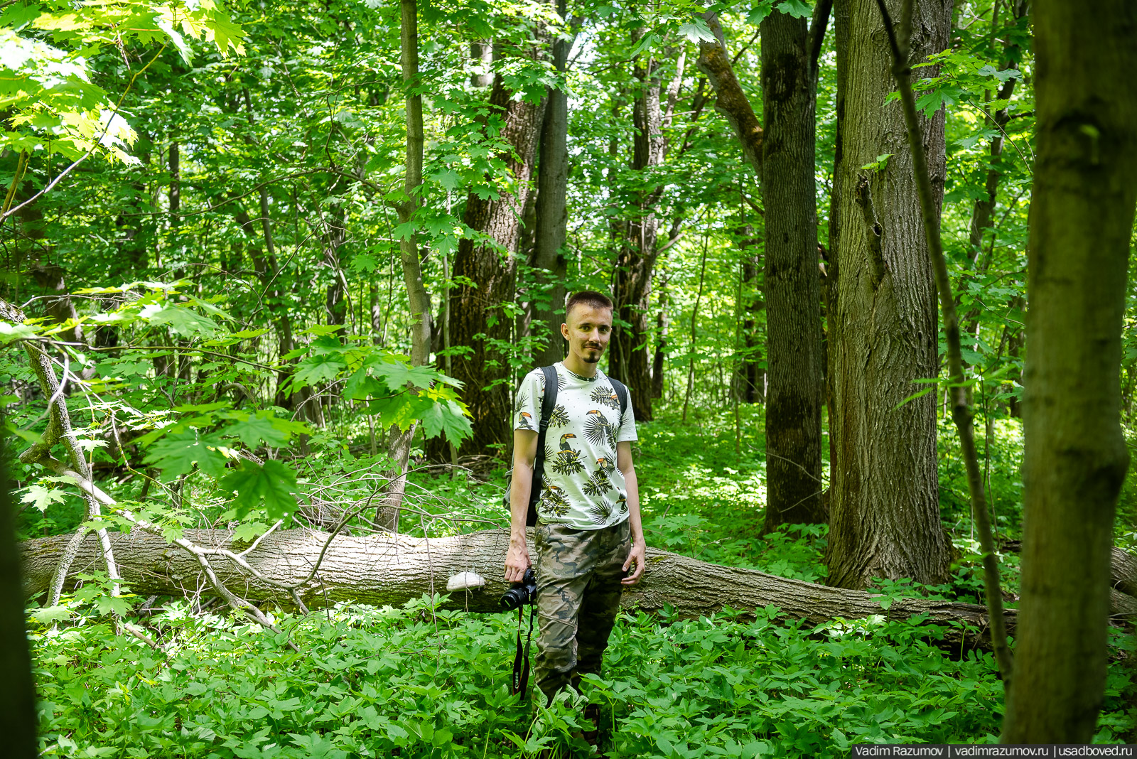 Старое Глазово, могила Василия Баженова, 2021 год