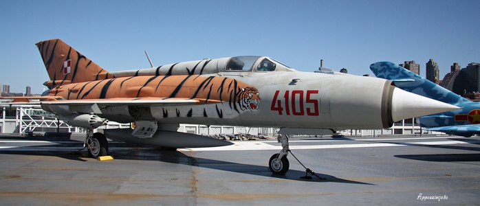 1109989_1IMG_0042 (700x300, 160Kb)