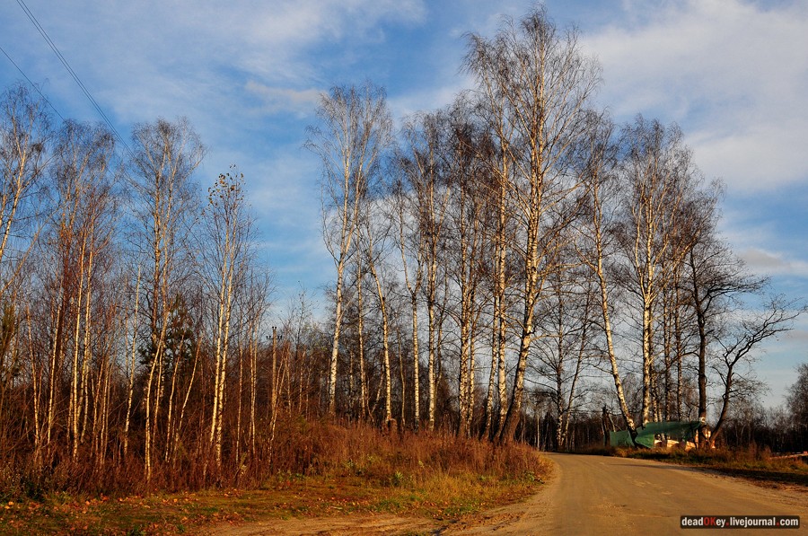 усадьба Бережки