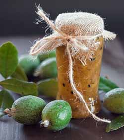 feijoa4 (250x283, 29Kb)