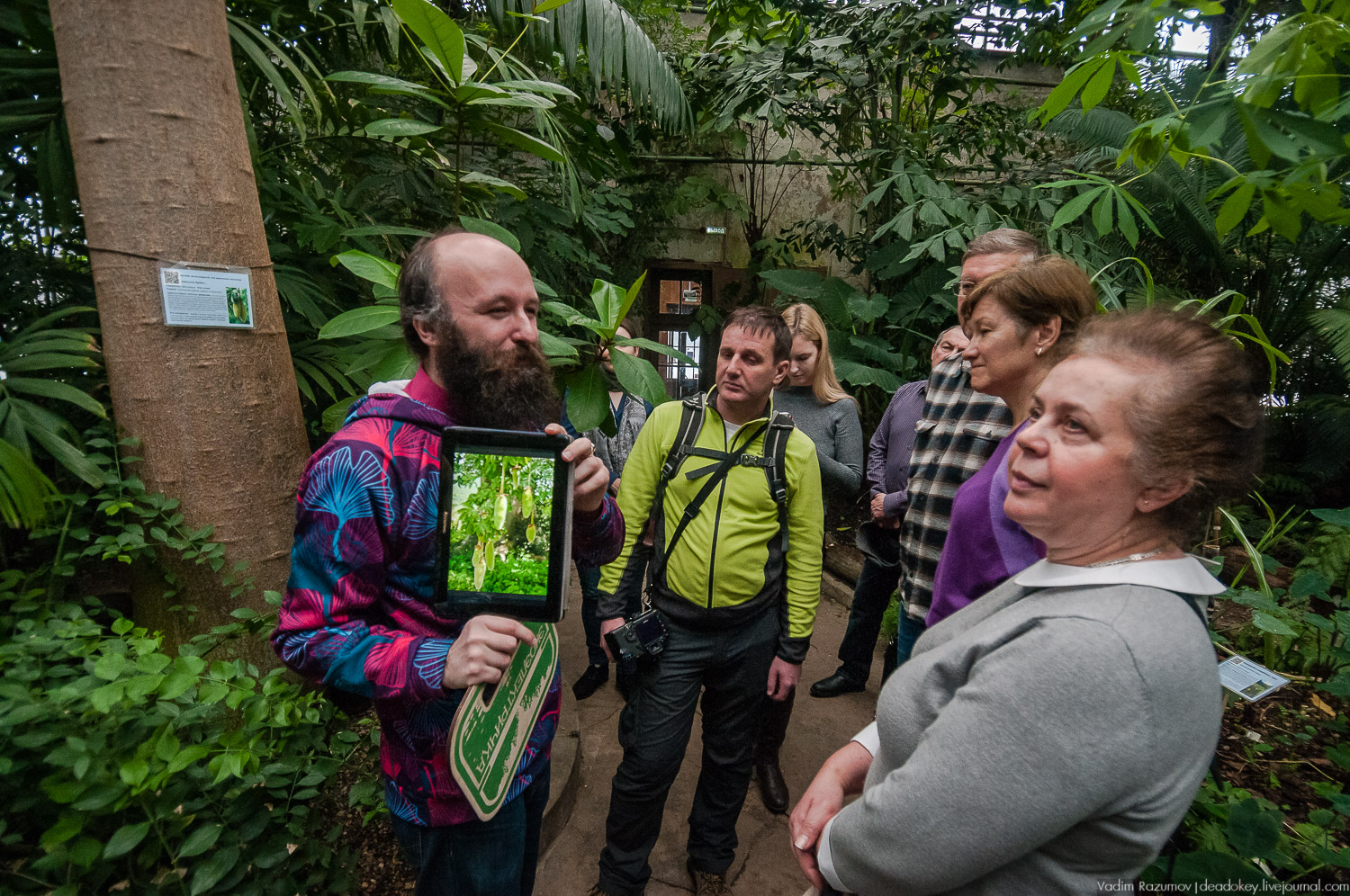 Ботанический сад, фондовая оранжерея, Экоэлектричка, борщевик