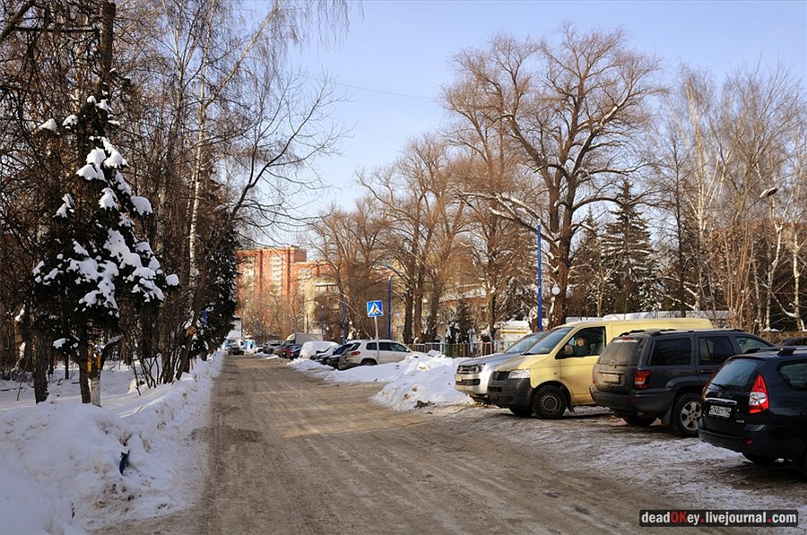 усадьба Коренево