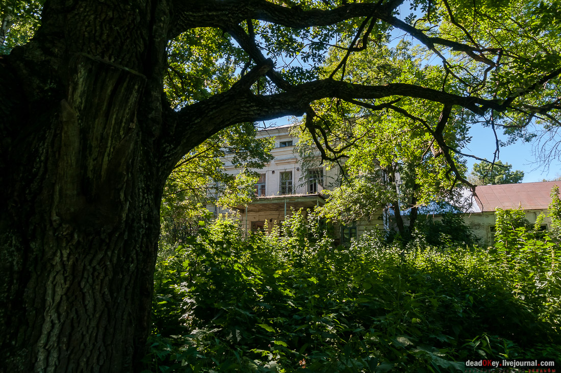 усадьба Новотомниково