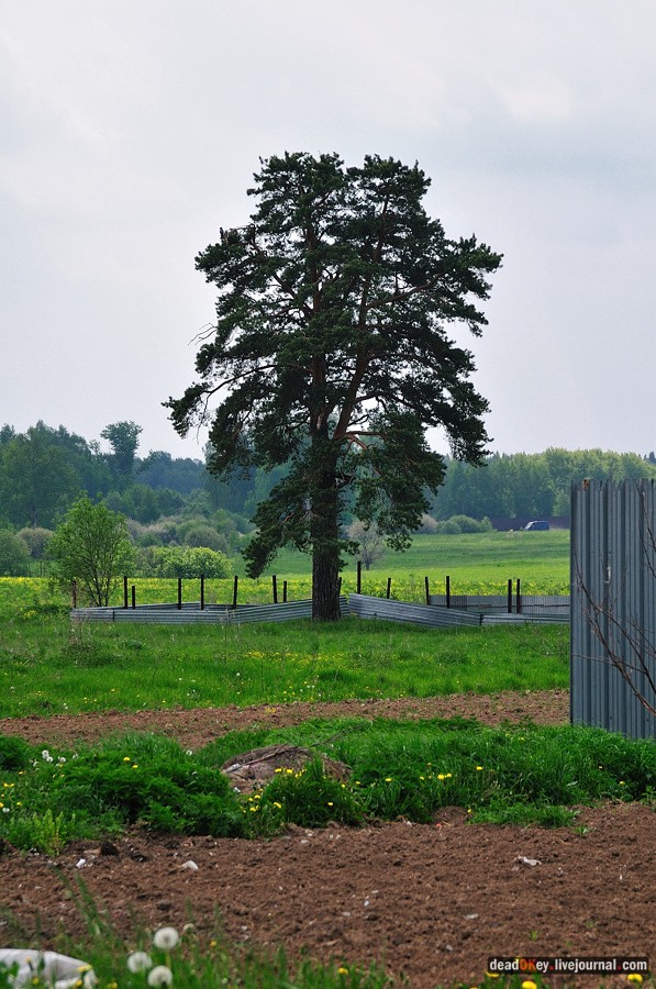 усадьба Лешково и Воздвиженское