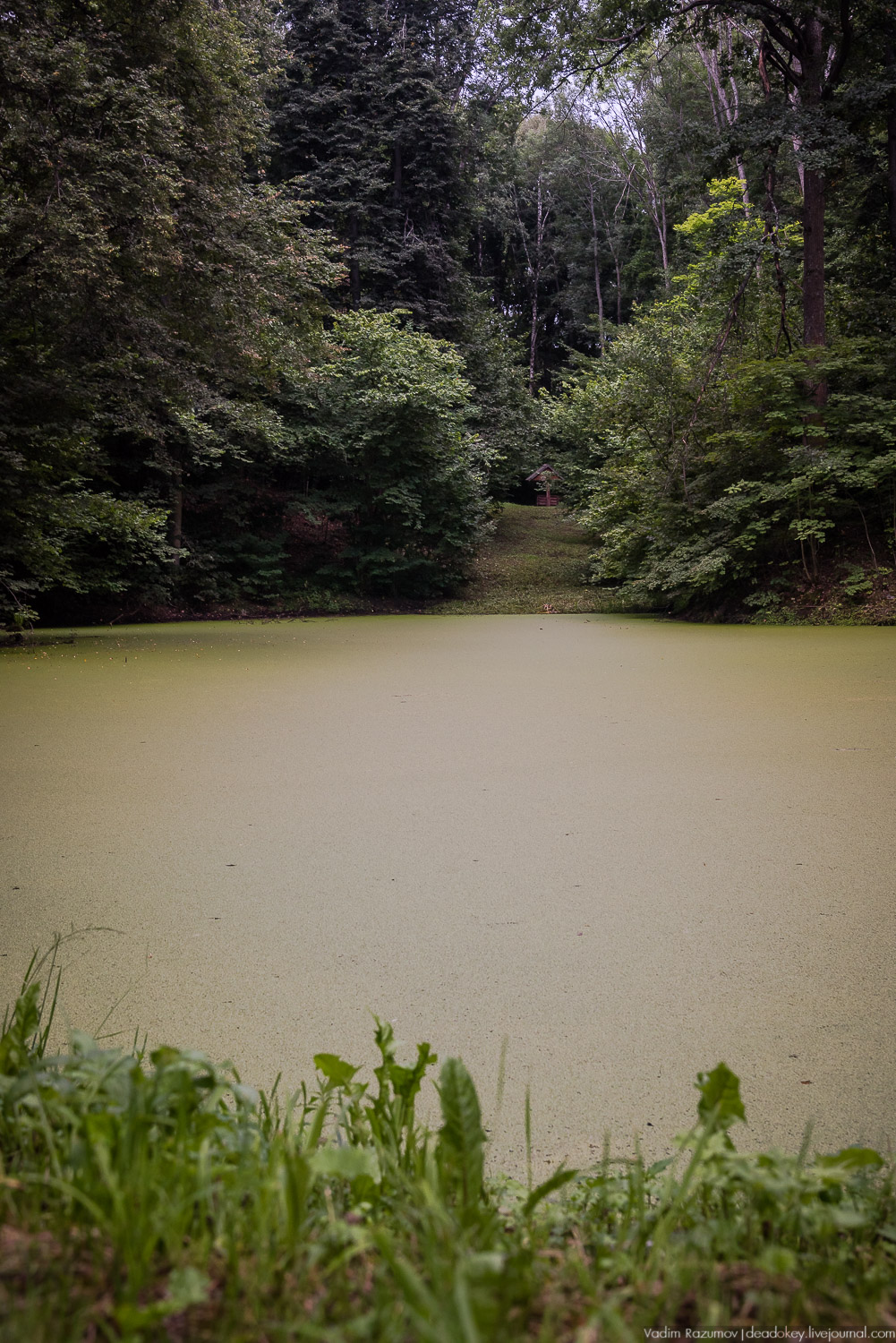 усадьба Спасское-Лутовиново И.С. Тургенева, юбилей Тургенева 200 лет, Орловская область