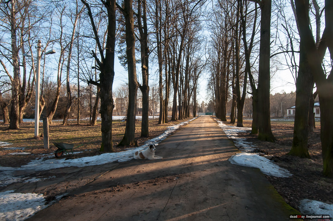 усадьба Бараново