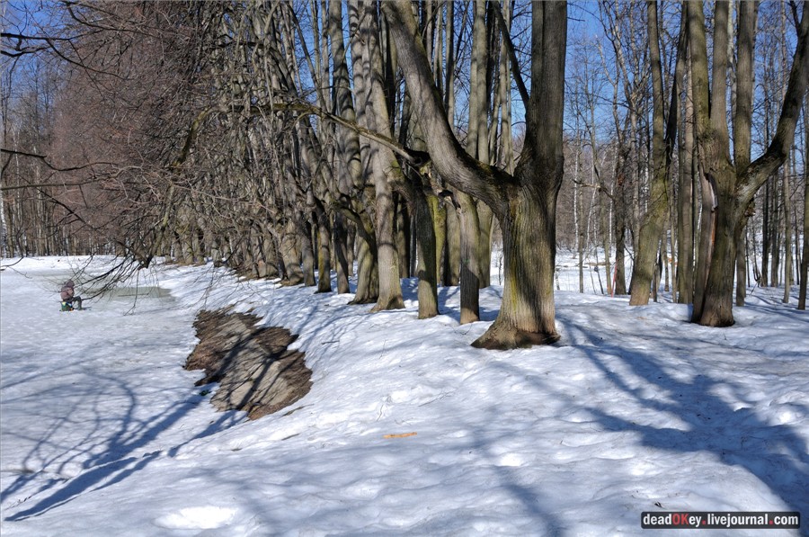 усадьба Узкое