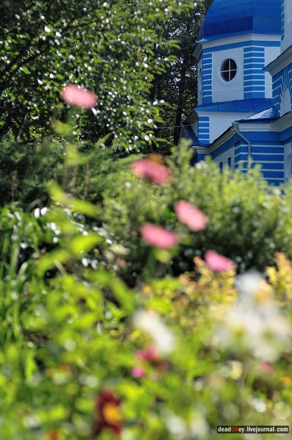 усадьба Хомяково