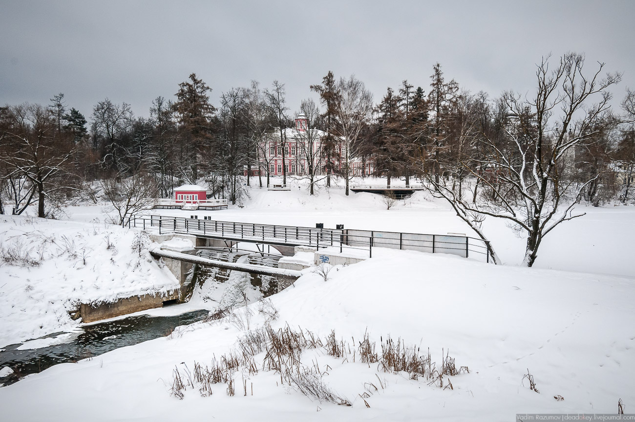 Летопись русской усадьбы. Усадьбы 2017 года