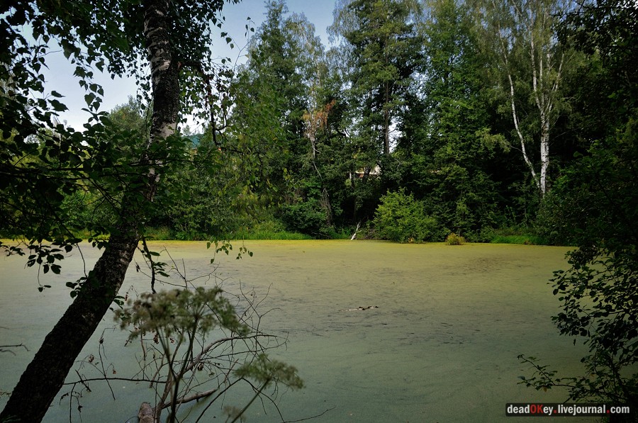 усадьба Денежниково