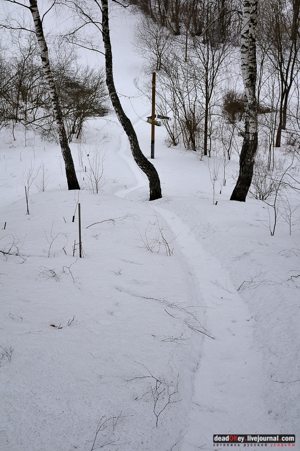 усадьба Долматово