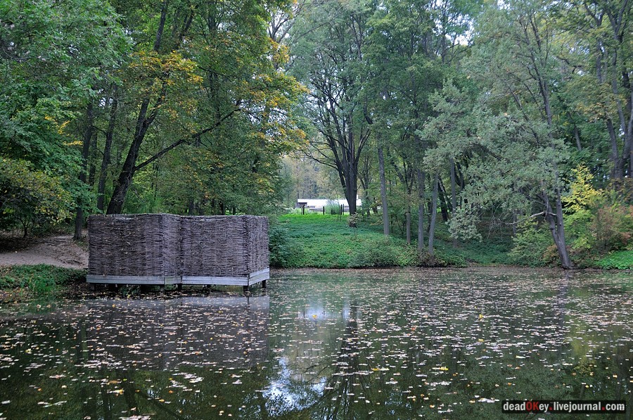 усадьба Ясная Поляна