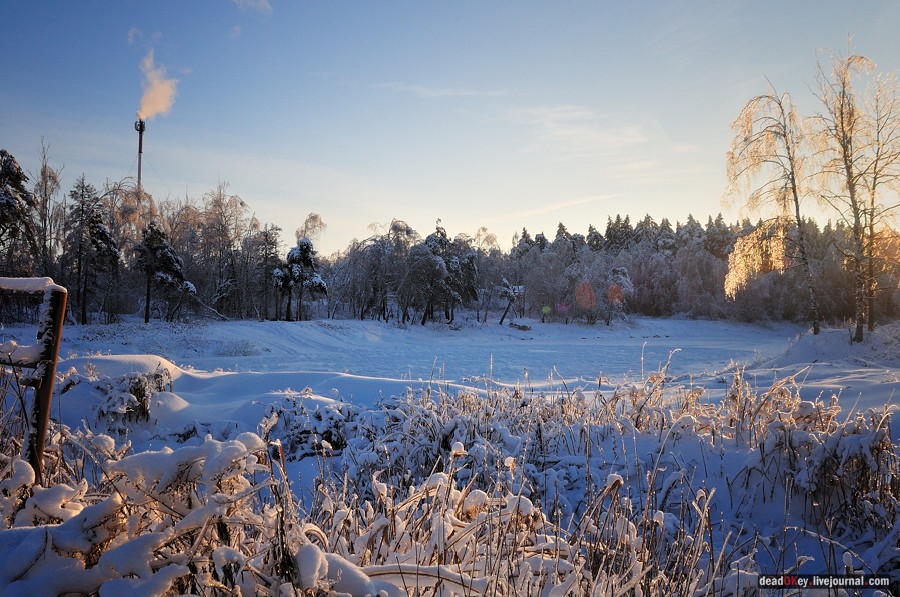 усадьба Полушкино