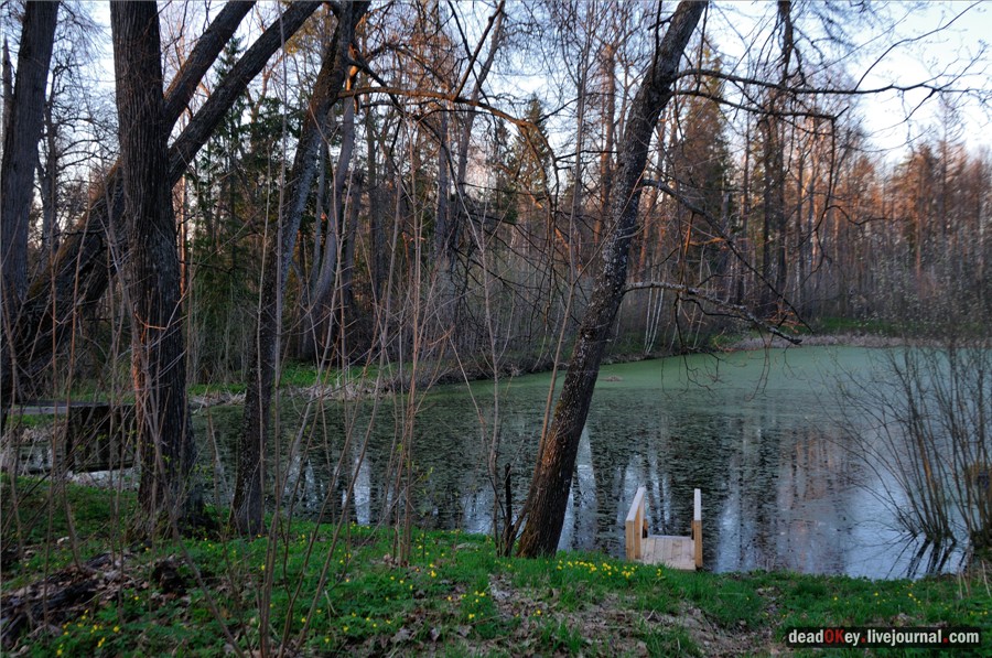усадьба Смольнево