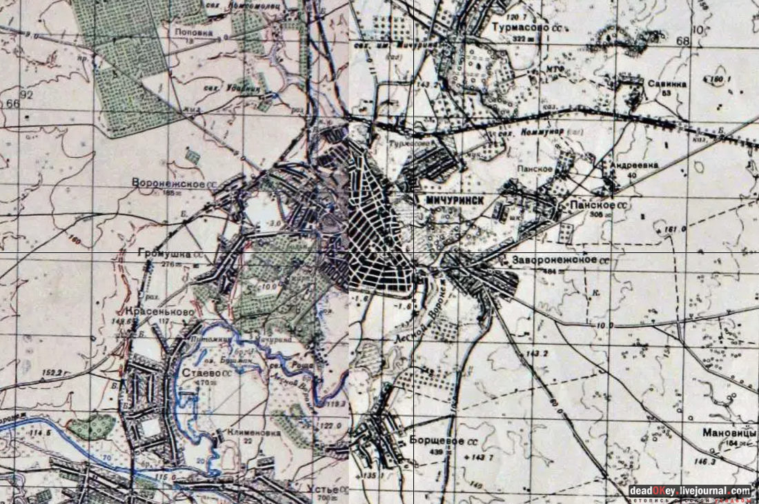 Усадьба Голицыных, г. Мичуринк