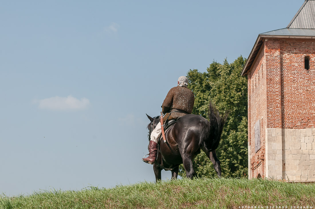 Зарайский ратный сбор VI 30 июля 2016 года, г. Зарайск