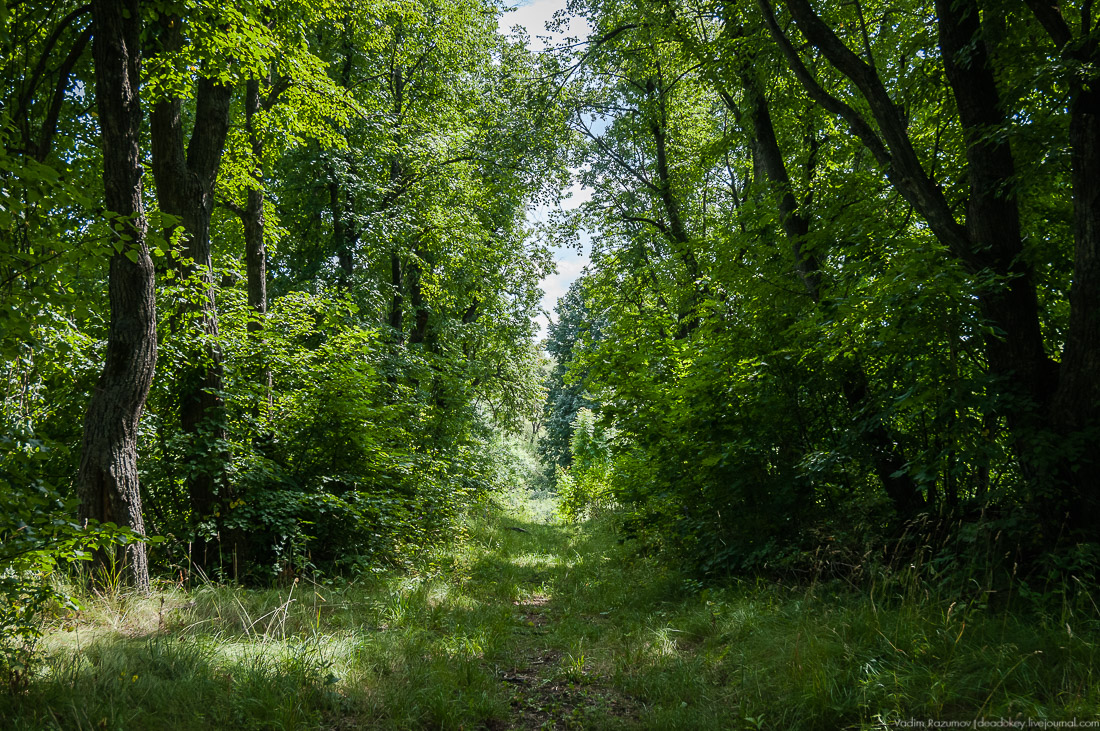 усадьба Стегаловка Ведровых