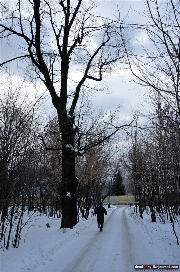  усадьба Гиреево