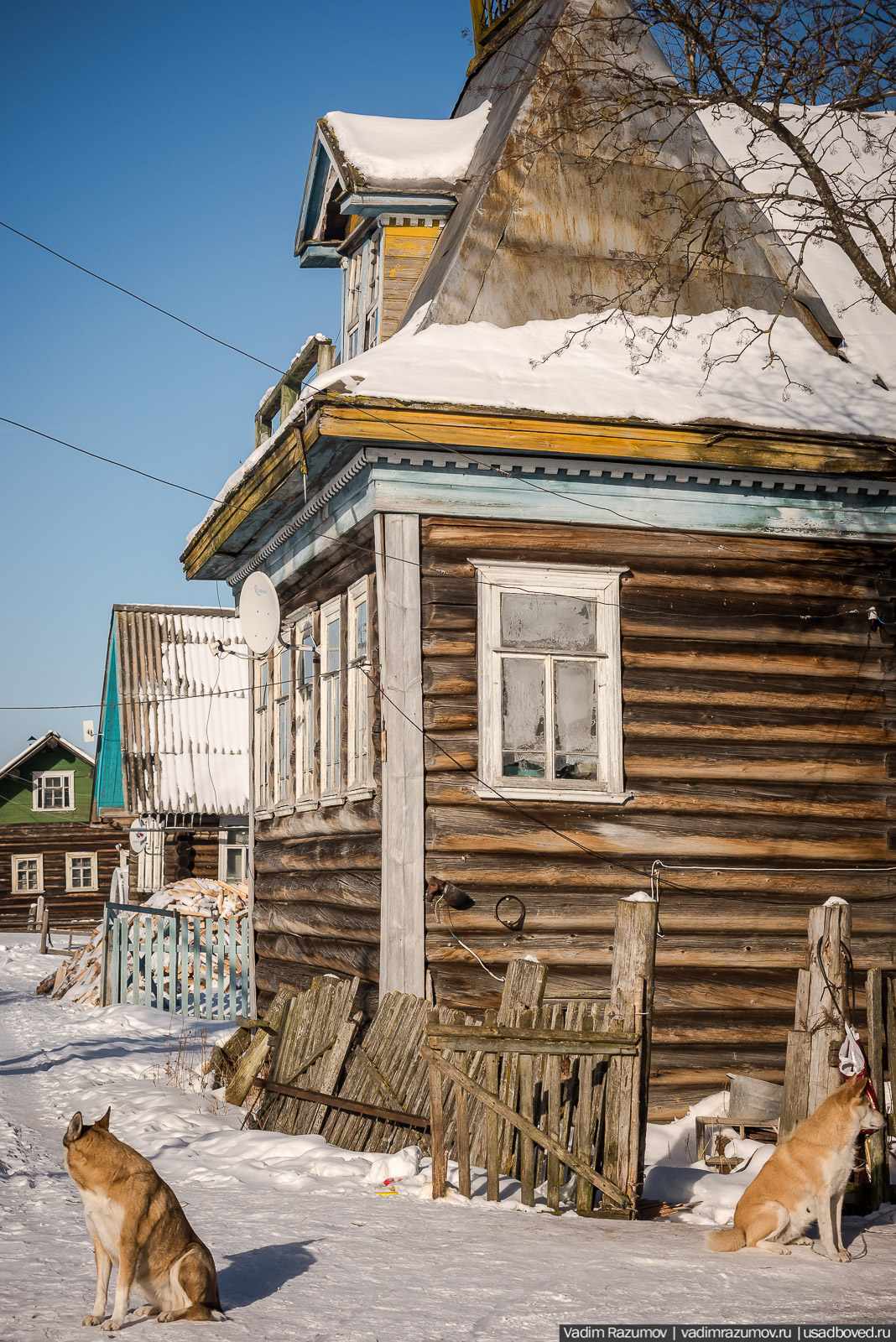 Деревня Поле, Архангельская область, Онежский район