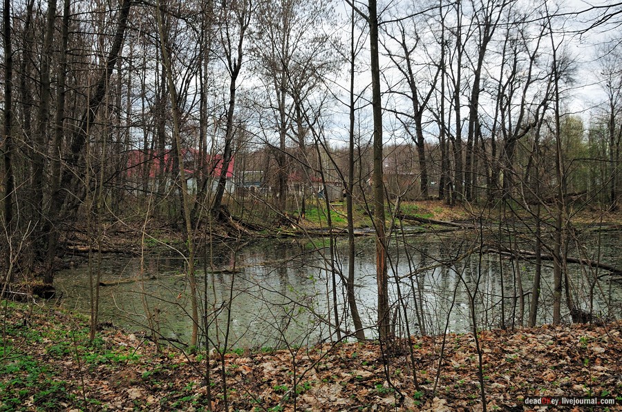 усадьба Антипино