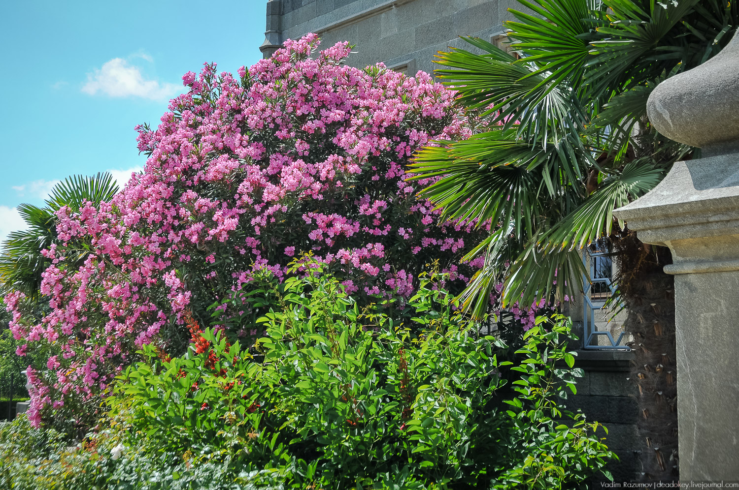 Алупка, Воронцовский дворец, Крым