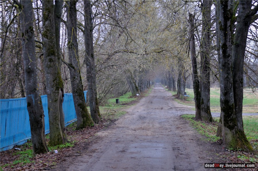 усадьба Полотняный Завод Гончаровых
