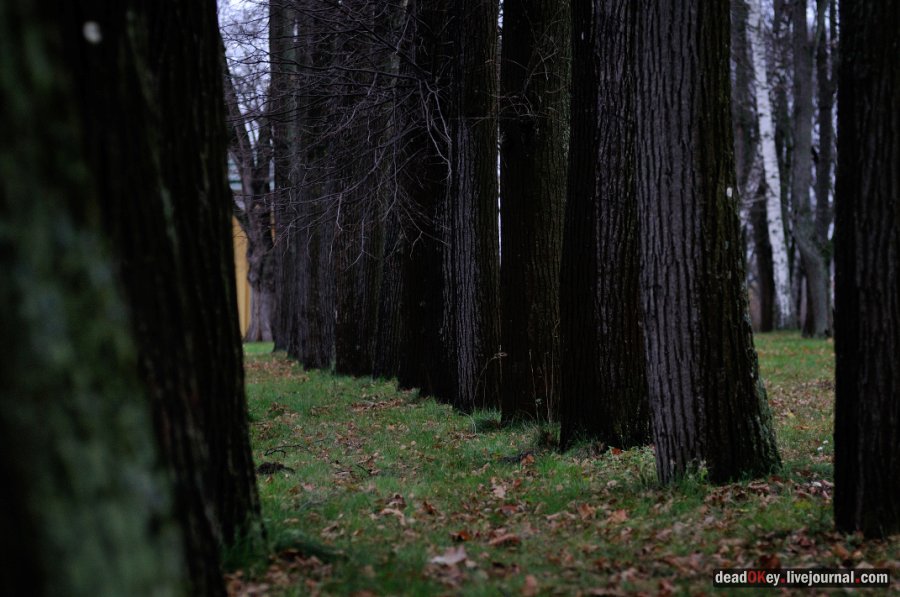 усадьба Горки Ленинские
