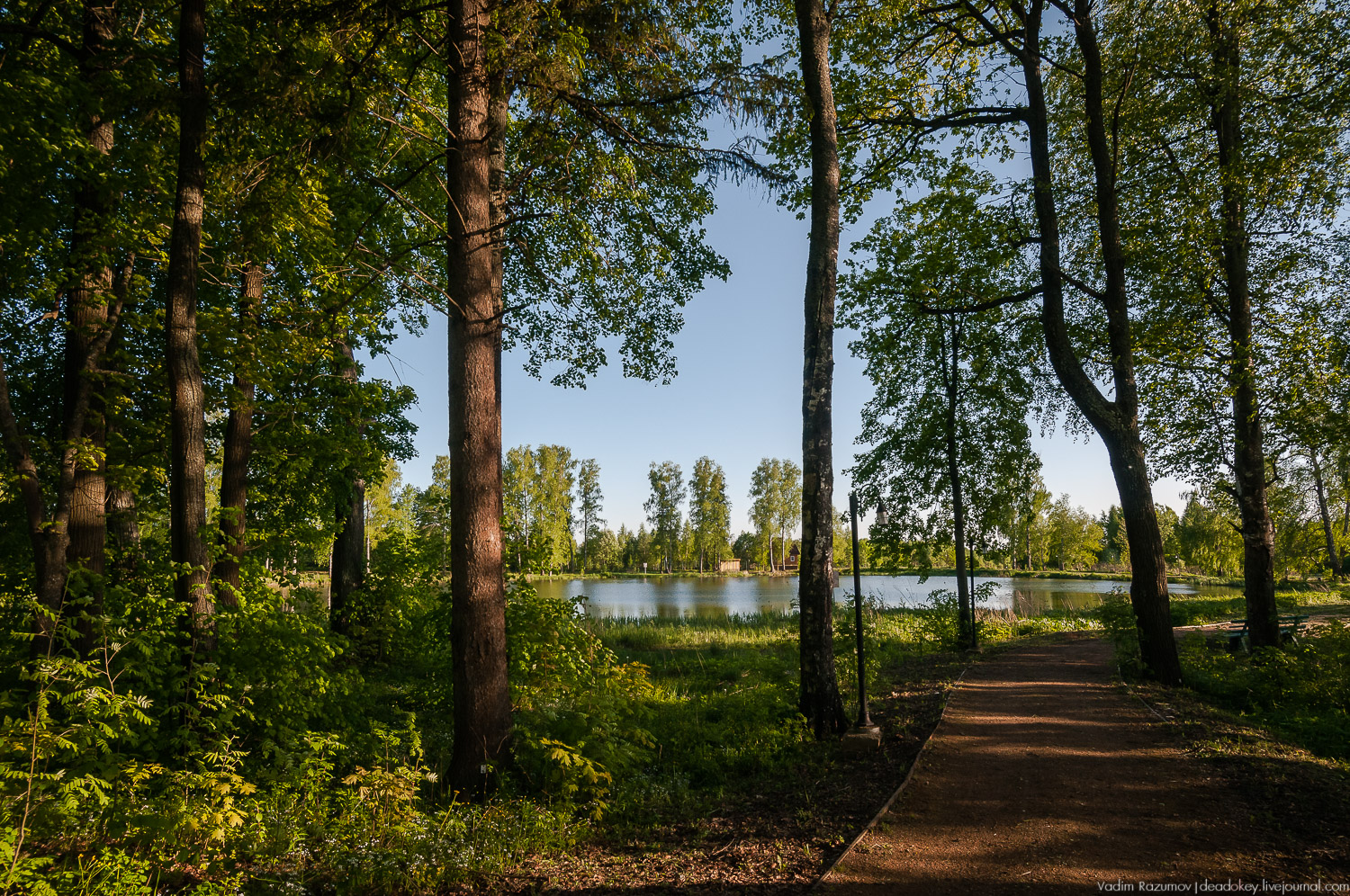 усадьба Воронино