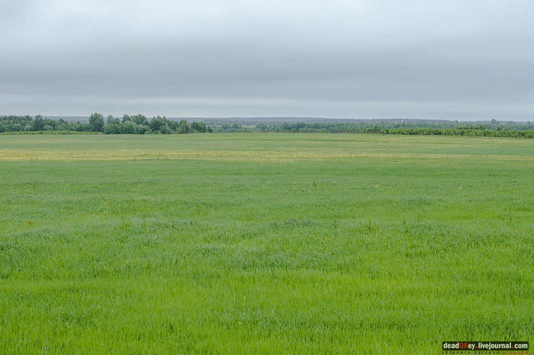 усадьба Арпачево (Тверская область, Новоторжский район, Н.А. Львов)