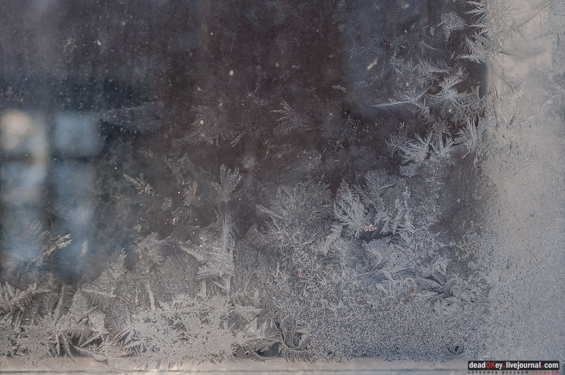 усадьба Васькино