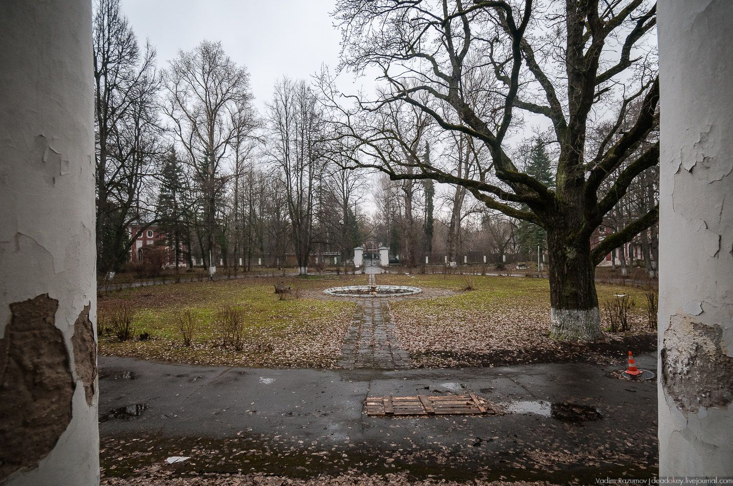 усадьба Петрово (Дурнево, Петрово-Дальнее), Красногорский район, Московская область