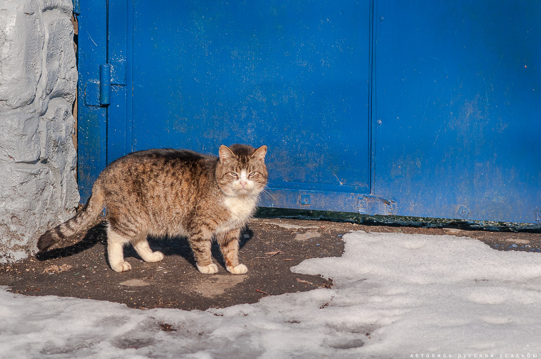 Город Бронницы