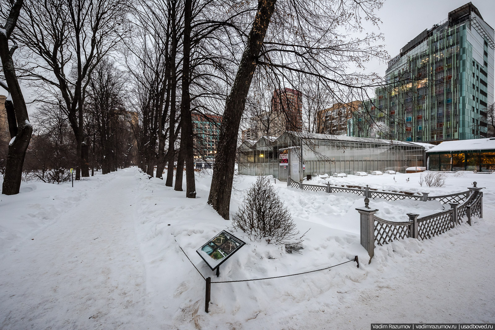 Аптекарский огород, Репетиция весны 2021, цветы, 8 Марта