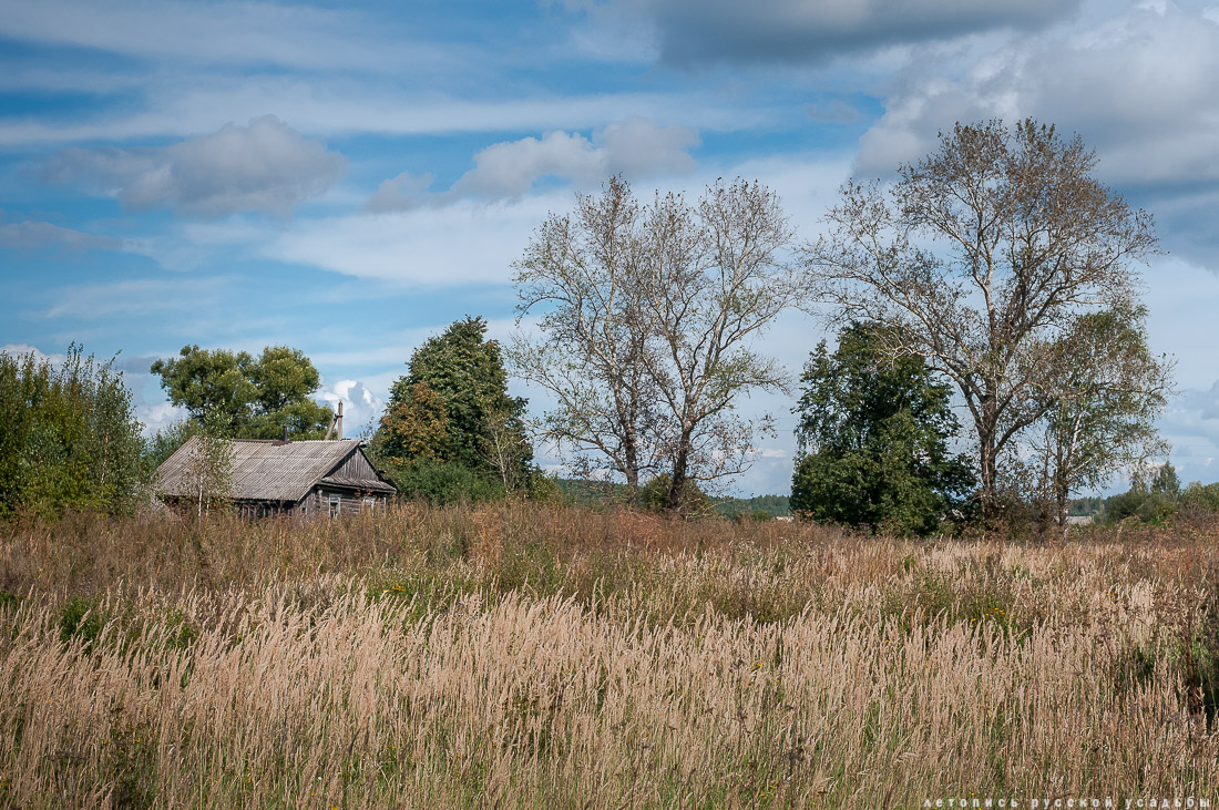 церковь Богородицы в селе Пет, Рязанская область, Пителинский район