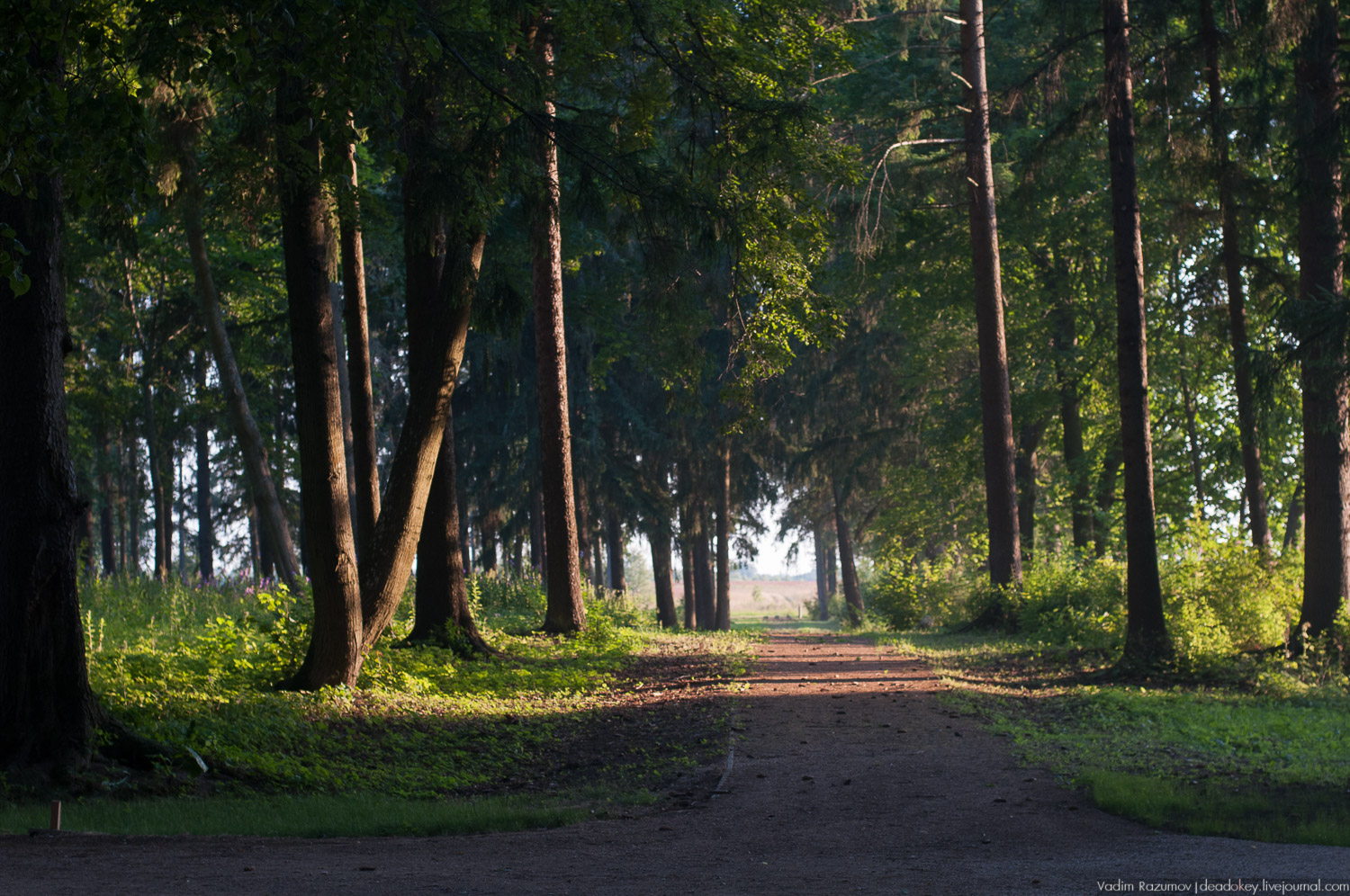 усадьба Степановское-Волосово, интервью с Сергеем Васильевым